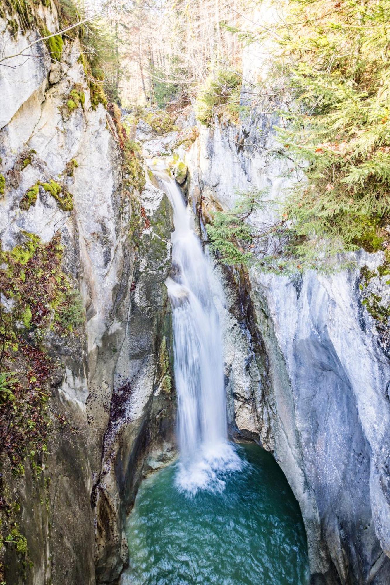 Feuriger Tatzlwurm Hotel Bayrischzell Bagian luar foto
